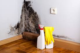 Best Air Quality Testing for Mold Spores  in Chapel Hill, TN